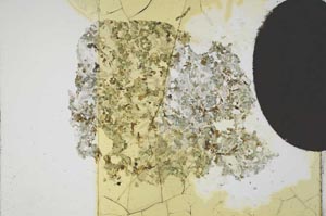 Plane Polarized, S11790
