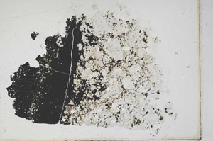 Plane Polarized, S11794