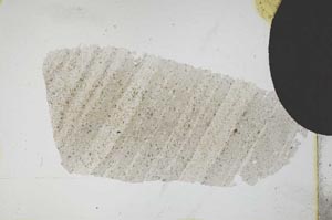 Plane Polarized, S11797