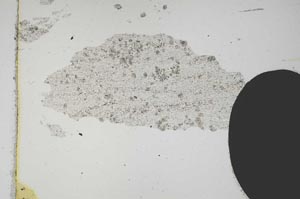 Plane Polarized, S11801/A
