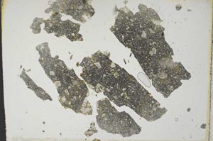Plane Polarized, S11808