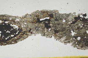 Plane Polarized, S1990