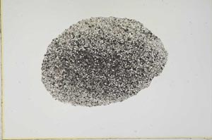 Plane Polarized, S1995