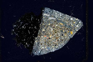 Cross Polarized, S1999/a