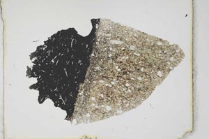 Plane Polarized, S1999/a