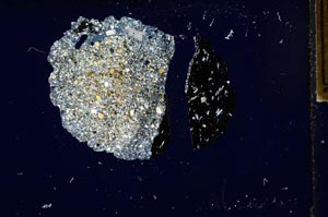 Cross Polarized, S1999/b