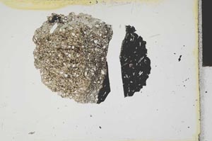 Plane Polarized, S1999/b