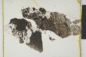 Plane Polarized, S2003