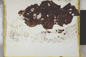 Plane Polarized, S2013