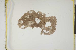 Plane Polarized, S2021