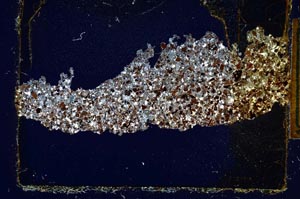 Cross Polarized, S2026