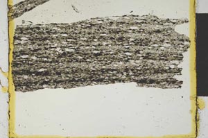Plane Polarized, S2031