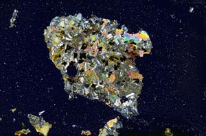 Cross Polarized, S2040
