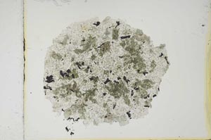 Plane Polarized, S2041