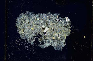 Cross Polarized, S2049