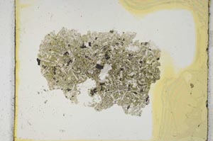 Plane Polarized, S2049