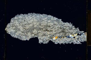 Cross Polarized, S2053