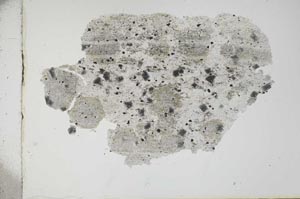 Plane Polarized, S2073
