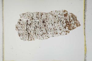 Plane Polarized, S2077