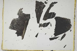 Plane Polarized, S2091
