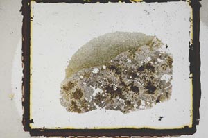 Plane Polarized, S2124