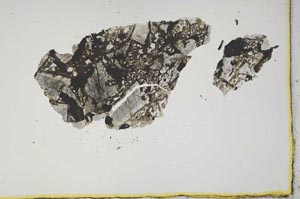 Plane Polarized, S2133