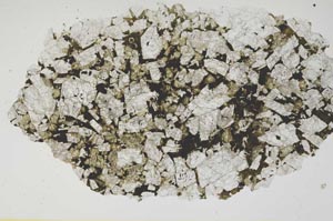 Plane Polarized, S2135