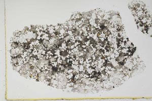Plane Polarized, S2147