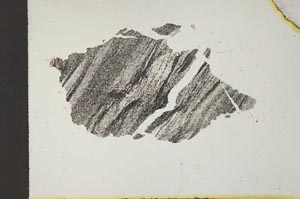 Plane Polarized, S11826