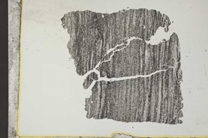 Plane Polarized, S11827