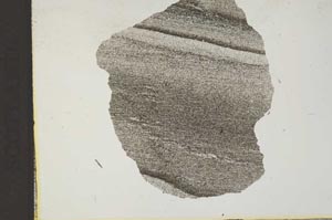 Plane Polarized, S11828