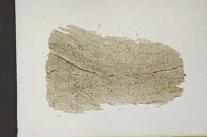 Plane Polarized, S11832