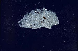 Cross Polarized, S11834