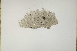 Plane Polarized, S11834