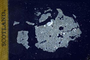 Cross Polarized, S11836