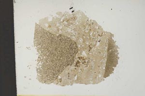 Plane Polarized, S11838