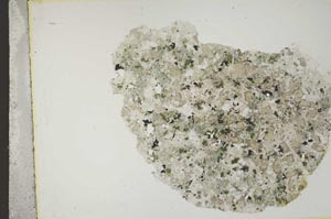 Plane Polarized, S11839