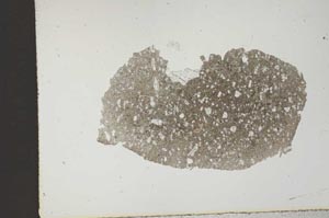 Plane Polarized, S11843