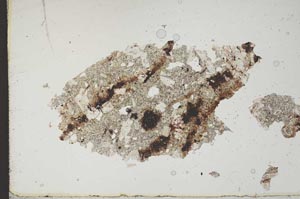 Plane Polarized, S11846