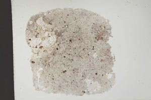 Plane Polarized, S11848