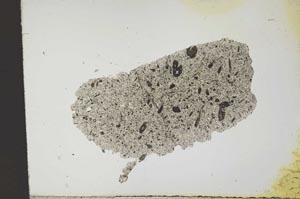 Plane Polarized, S11858
