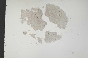 Plane Polarized, S11864