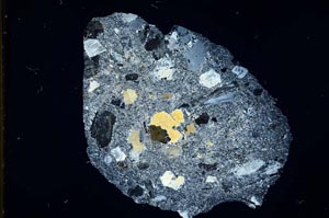 Cross Polarized, S11874