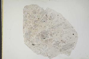 Plane Polarized, S11874