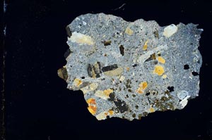 Cross Polarized, S11875