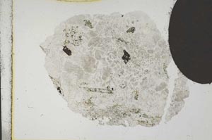 Plane Polarized, S11878