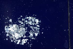 Cross Polarized, S11891/1