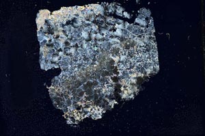 Cross Polarized, S11893