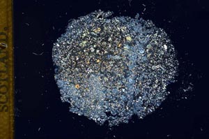 Cross Polarized, S11894