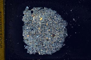 Cross Polarized, S11895